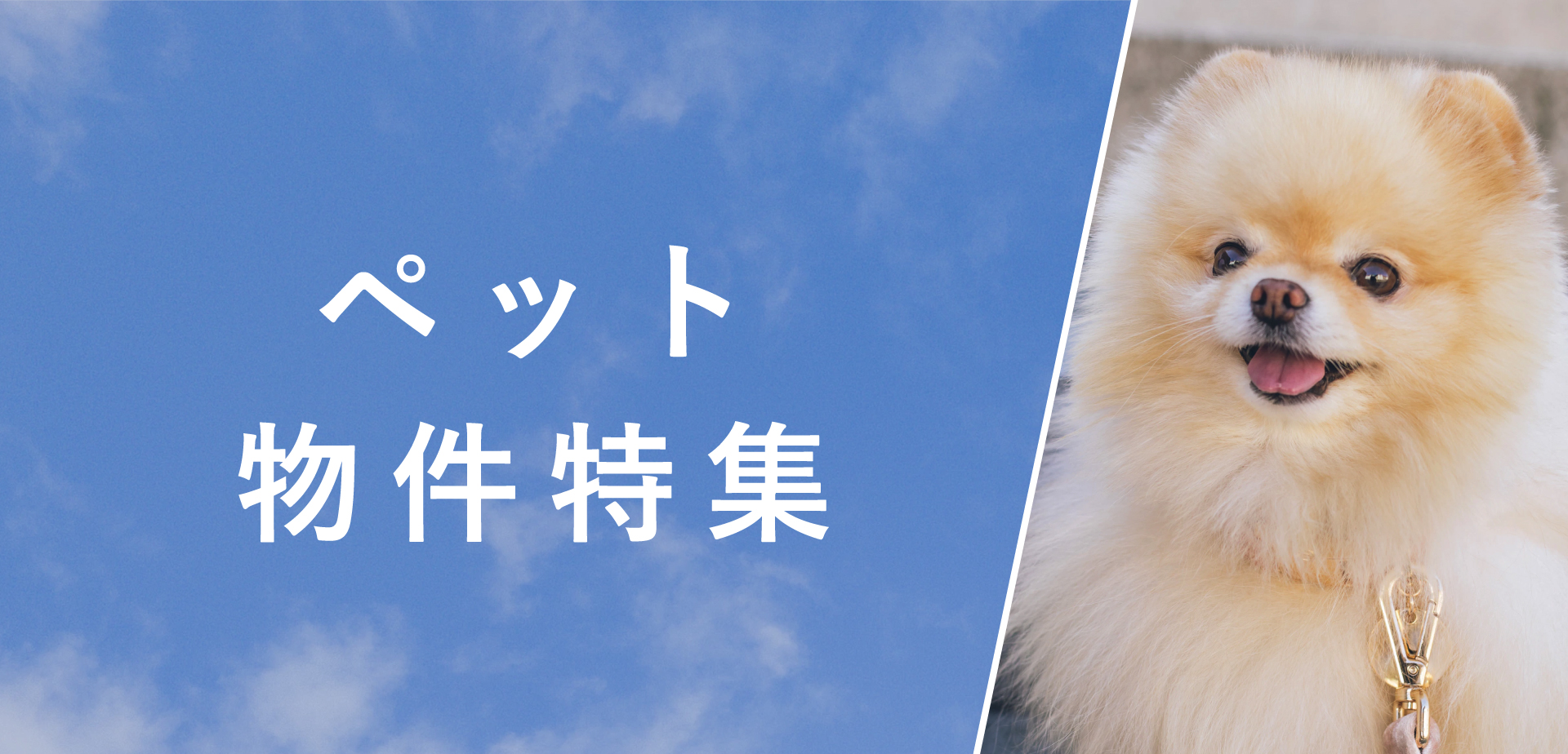 ☆ペットＯＫ☆